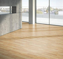 Parador Basic Plus 200 1426411 Клён Натуральный фото 2 | FLOORDEALER